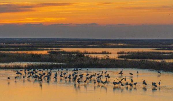 三角洲手游辅助瞄准功能有效嘛(三角洲手游辅助瞄准功能真的准吗?) 三角洲手游辅助瞄准功能有效嘛(三角洲手游辅助瞄准功能真的准吗?)